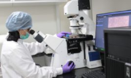 Doctor of Philosophy Doctor of Philosophy