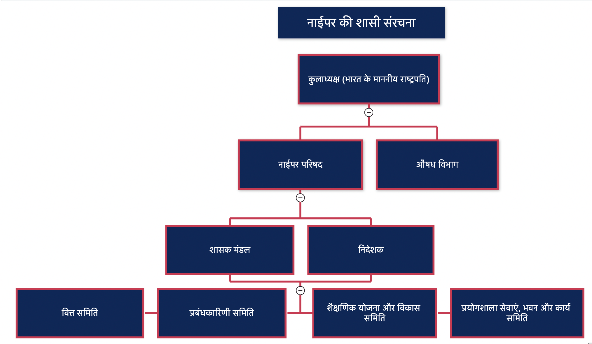 NIPER-Ahmedabad's Organizational Chart