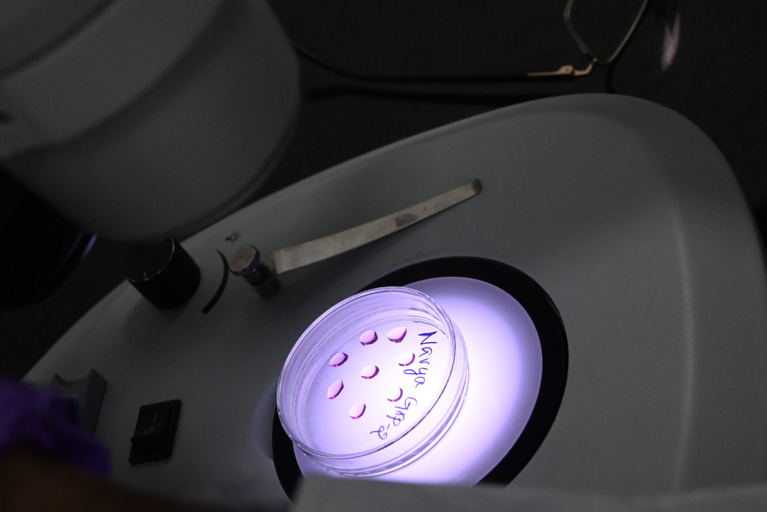 3D Cell Culture Program Image 2